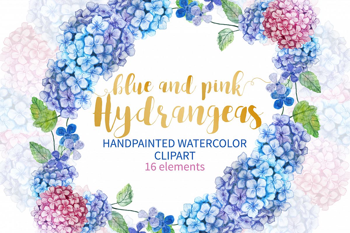 Watercolor Hydrangea Clipart example image 1