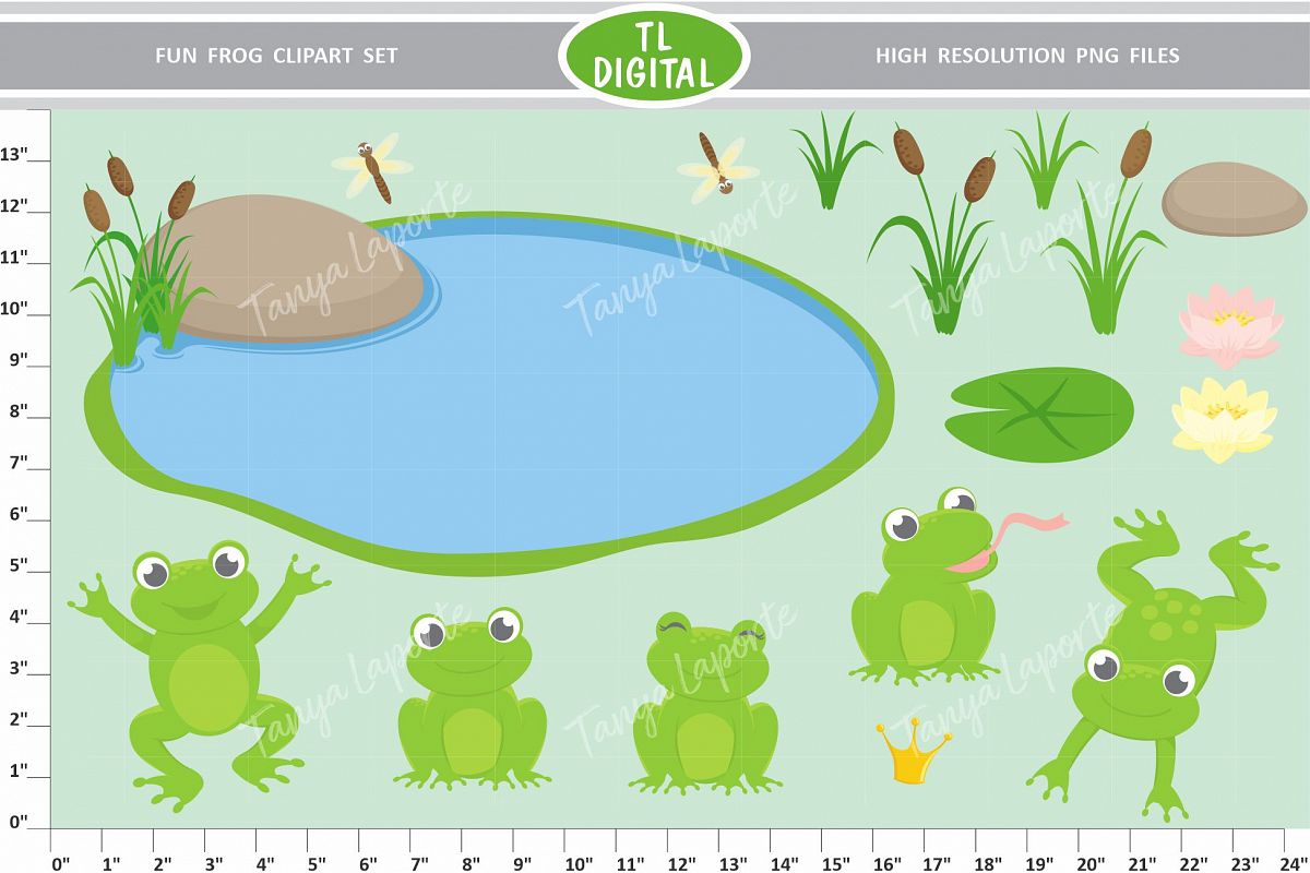 Frog Fun Clipart Set - 17 Pond Graphics - PNG Files example image 1
