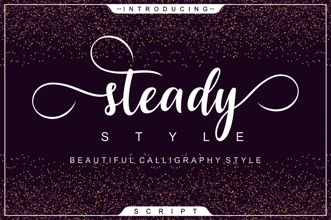 Steady Style Script example image 1