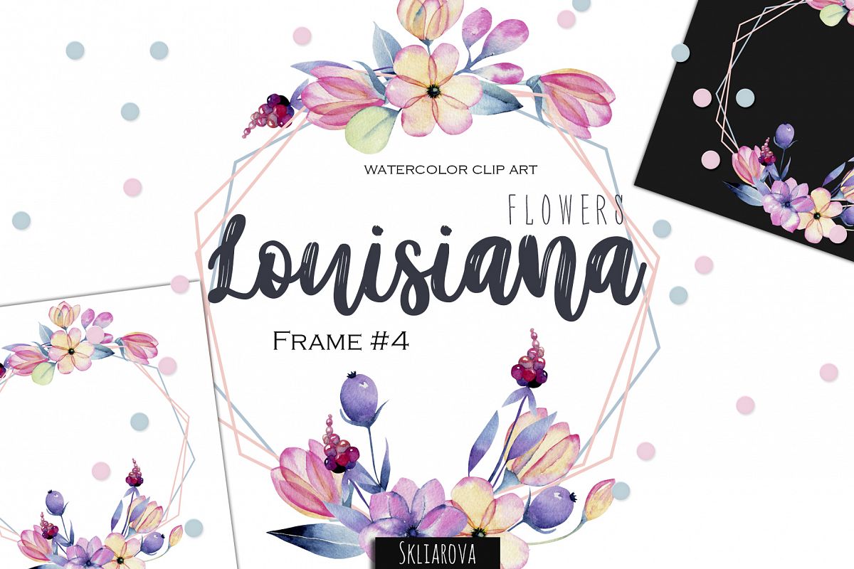 Louisiana flowers. Frame#4 example image 1