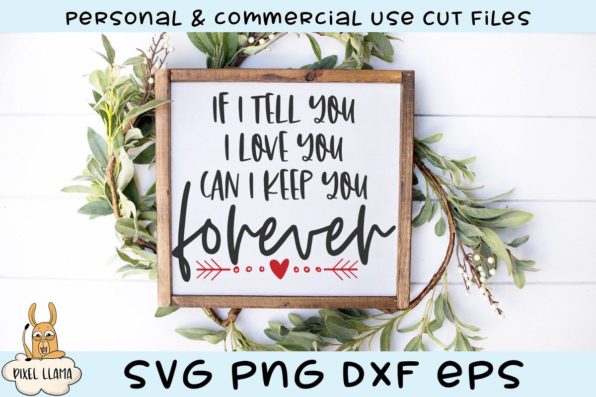 I Tell You I Love You Can I Keep You Forever Valentine SVG example image 1