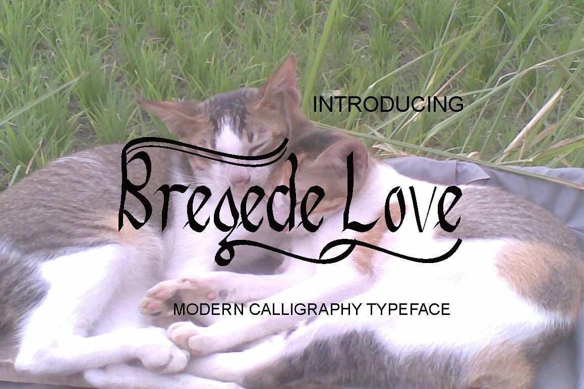 Bregede Love example image 1