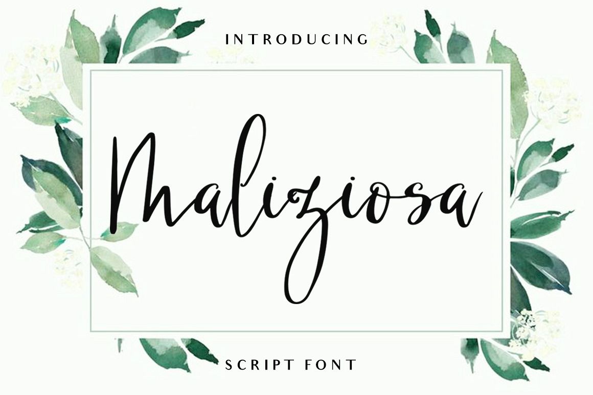 MALIZIOSA SCRIPT FONT example image 1