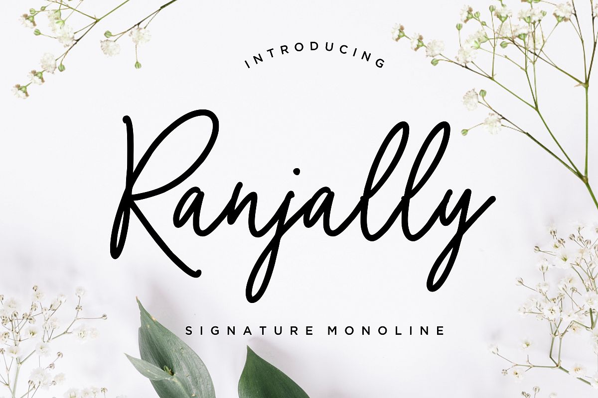 Ranjally Monoline Signature example image 1