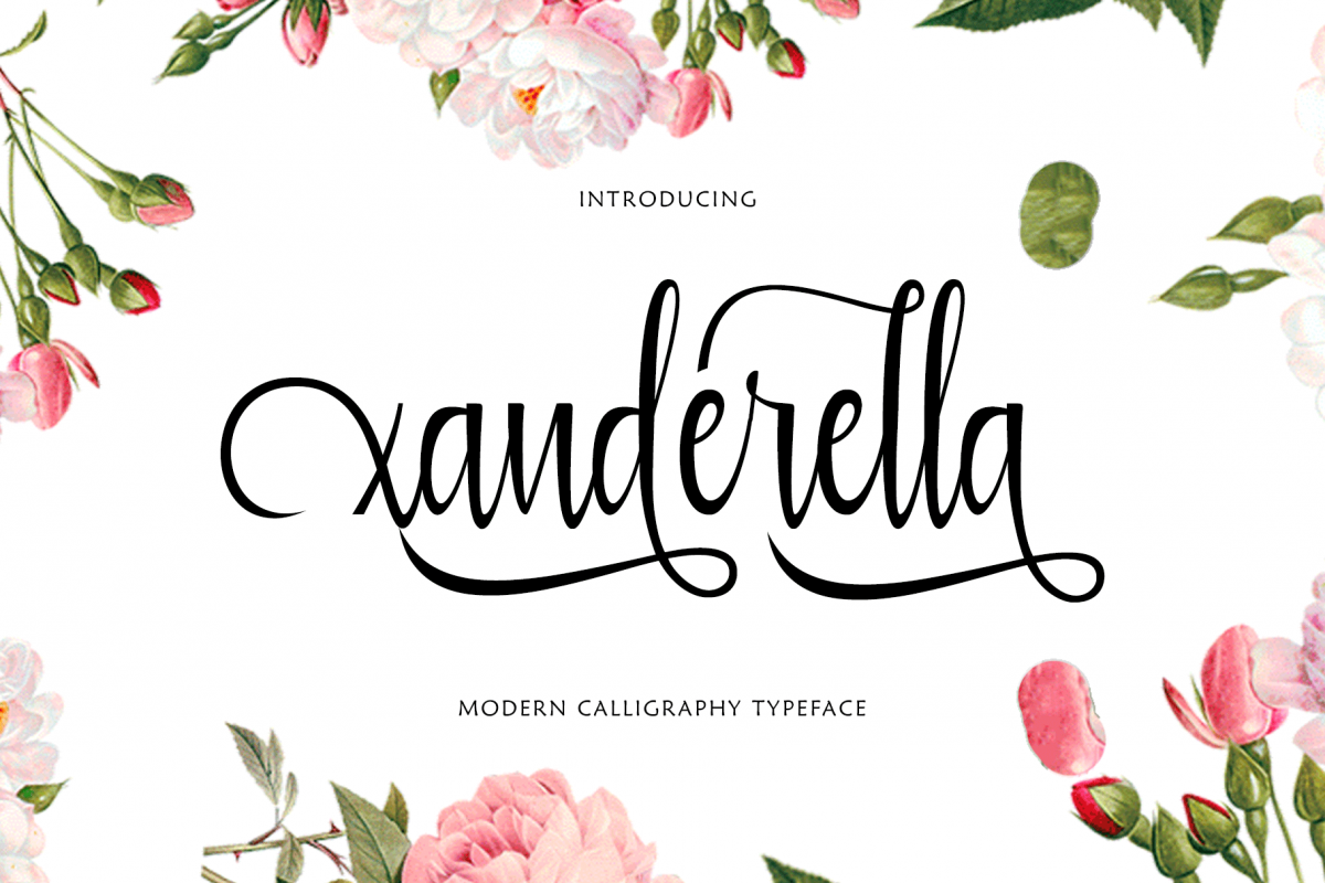 xanderella example image 1