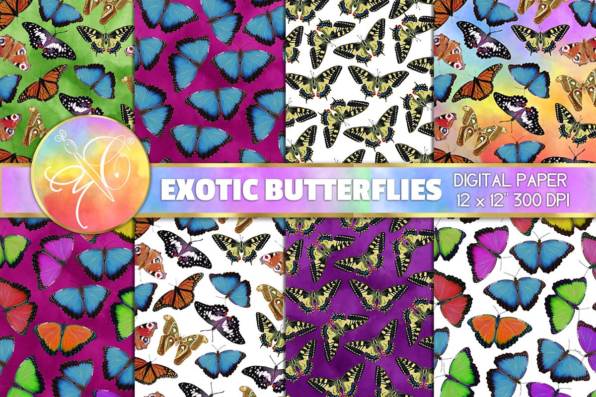 Exotic Butterflies Digital Paper example image 1