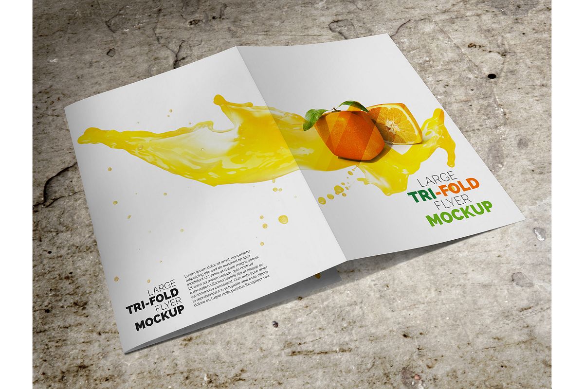 Large Trifold Brochure Mockup example image 1