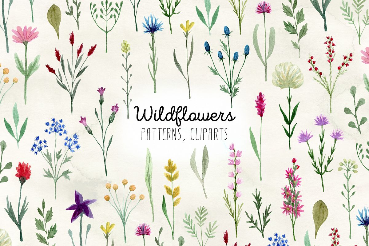 Watercolor Wildflowers example image 1