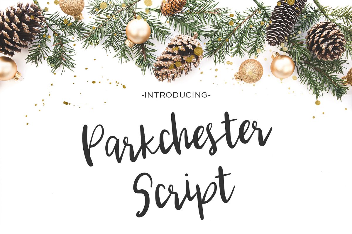 Parkchester Script example image 1