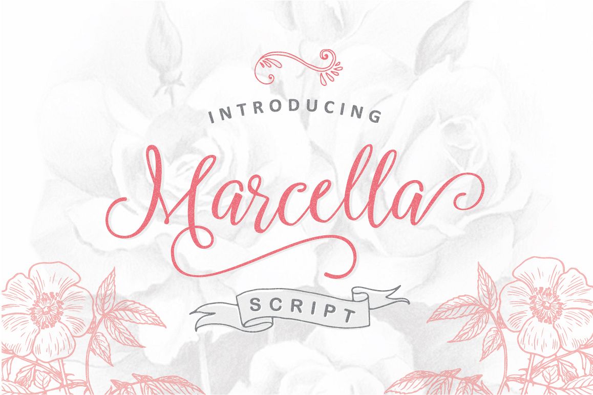 Marcella Script example image 1