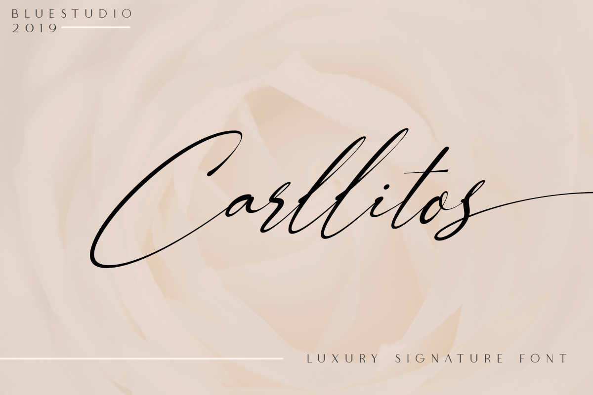 Carllitos // Luxury Signature Font example image 1