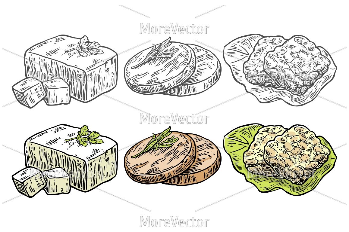Set Vegan and Vegetarian food. Tofu, Seitan, Tempeh. example image 1