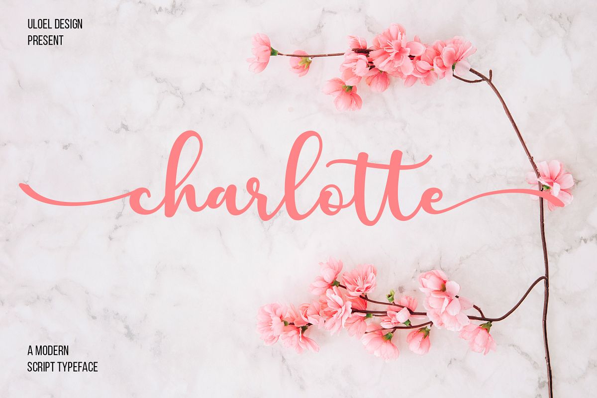 Charlotte example image 1