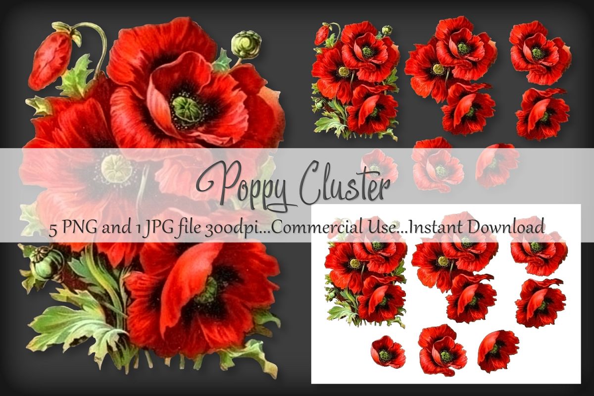 Poppy Cluster Bouquet Vignette Clipart example image 1