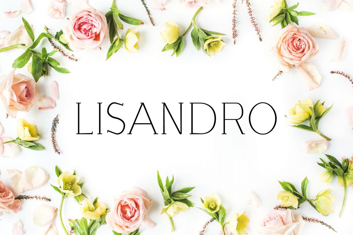 Lisandro Slab Serif Font example image 1