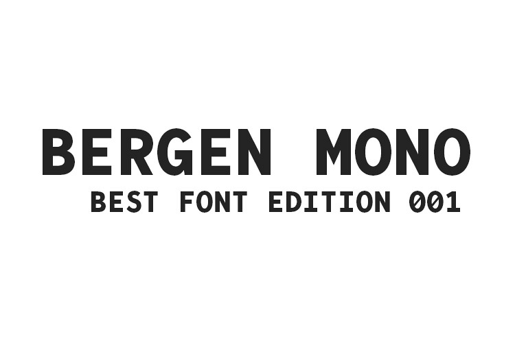 Bergen Mono Font example image 1