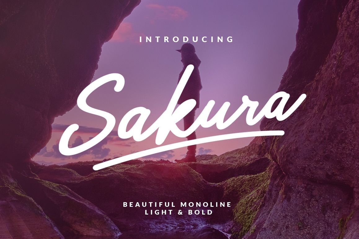 Sakura - Font Family example image 1