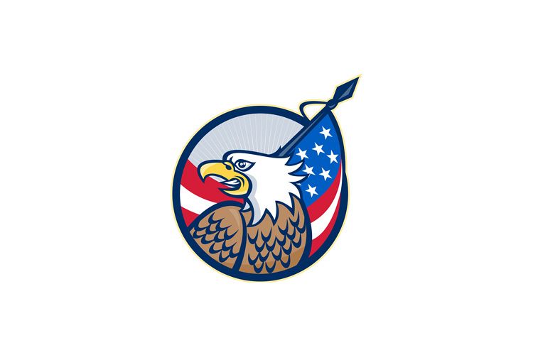 American Eagle Stars and Stripes Flag Retro example image 1