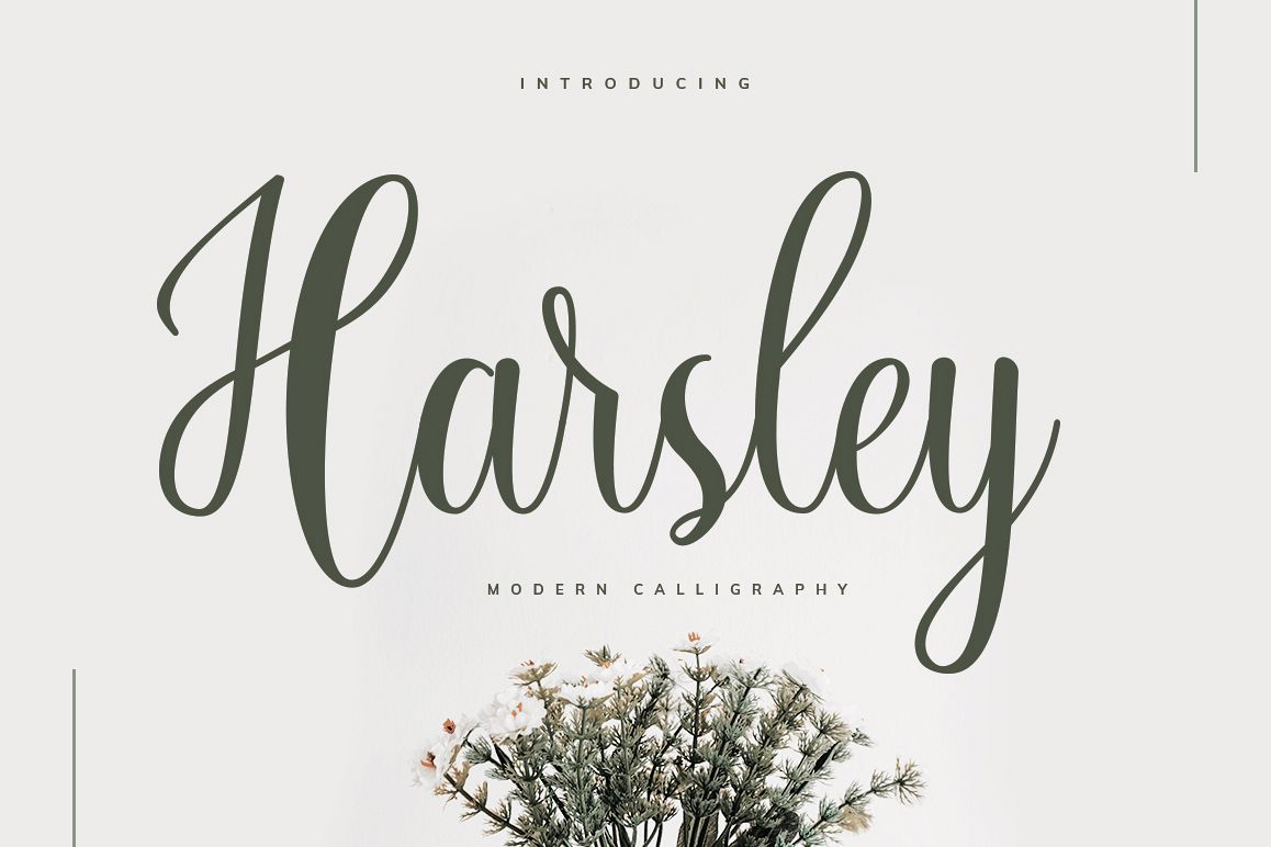Harsley Script example image 1