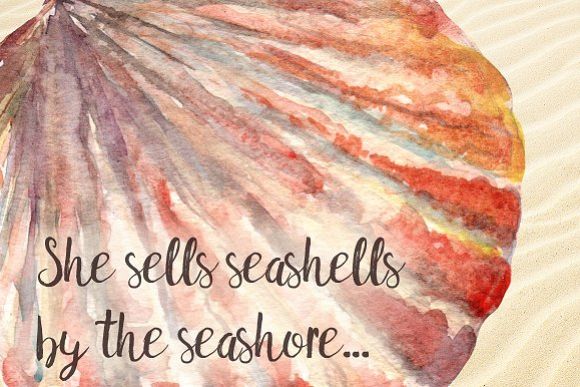 Watercolor Seashells Set - 8Png example image 1