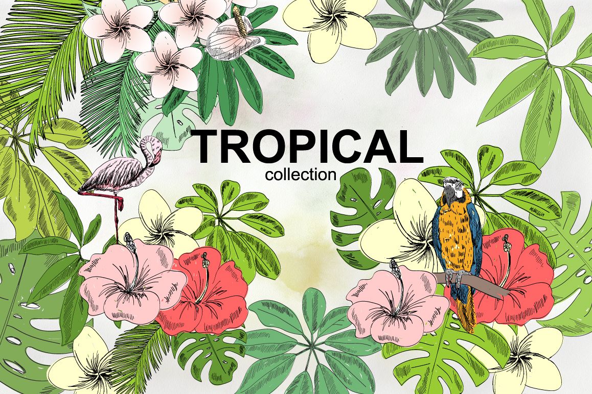 Tropical collection. example image 1