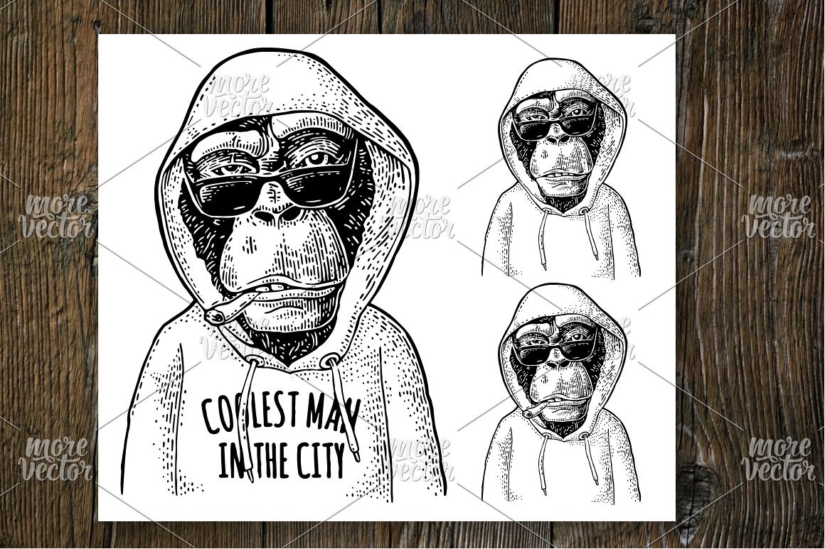 Monkey hipster dressed in the hoodie engraving example image 1
