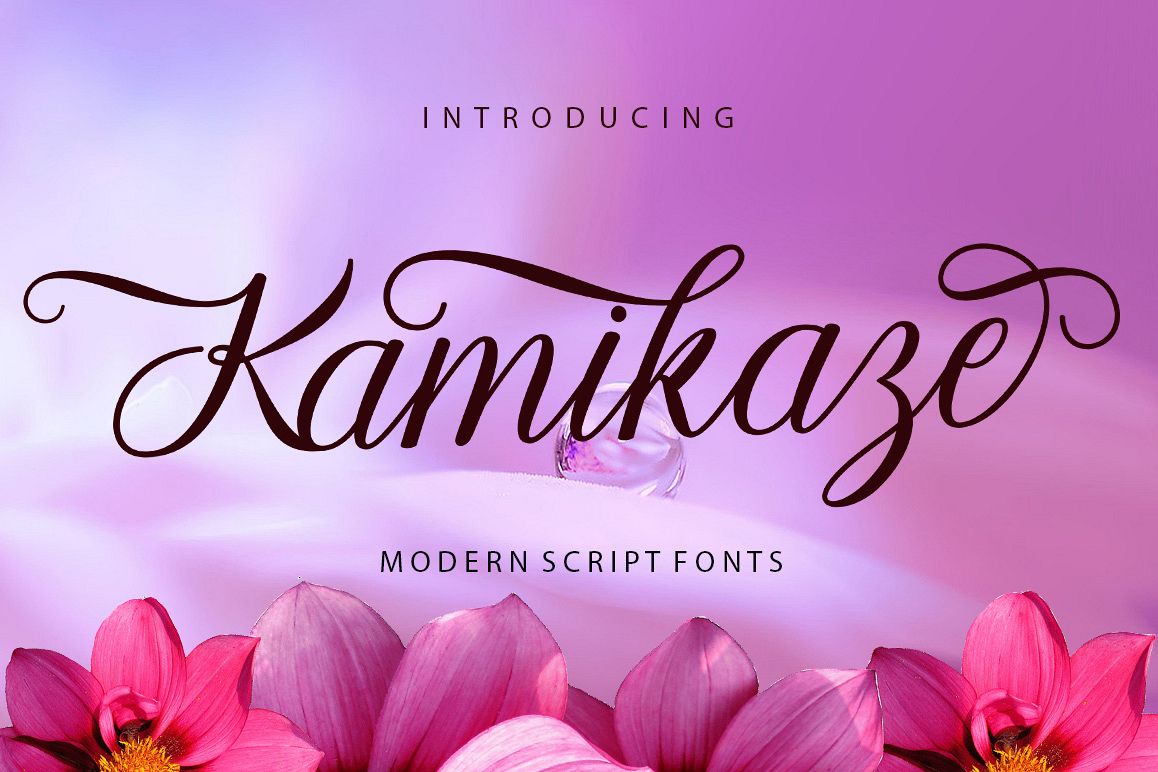 Kamikaze Script example image 1