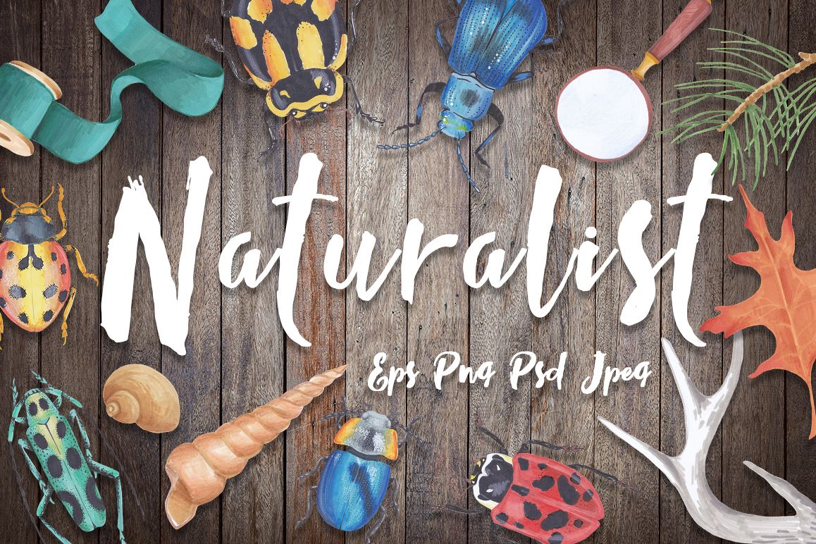 Naturalist - scientific design set example image 1