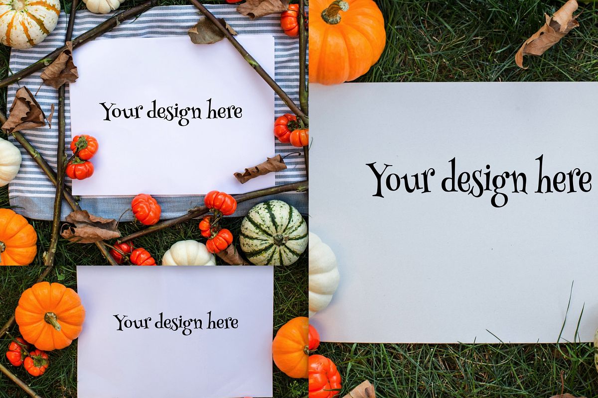 Set from 3 pumpkin mockups example image 1