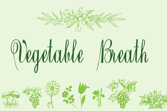 Vegetable Breath example image 1