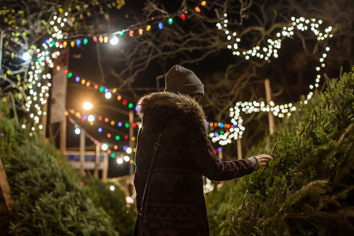 Girl picking christmas tree example image 1