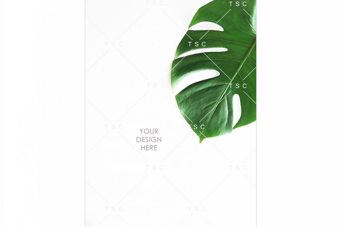 Portrait-mode Monstera Leaf Stock Photo example image 1