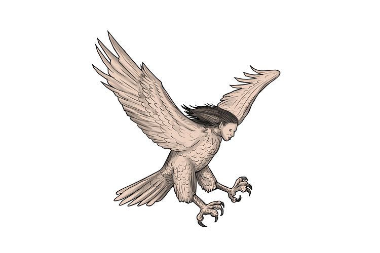 Harpy Swooping Tattoo example image 1