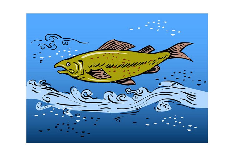 speckled spotted trout fish retro example image 1
