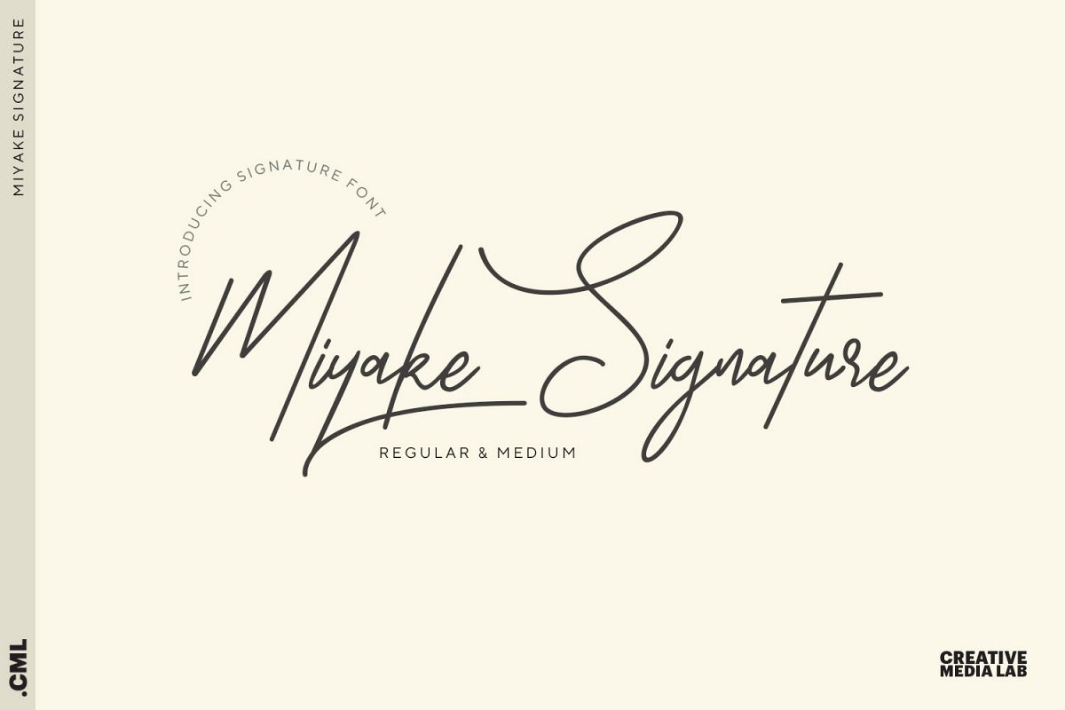 Miyake example image 1