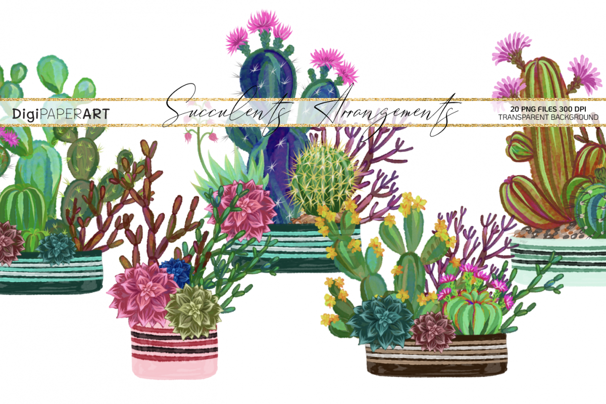 Watercolor Potted Succulents PNG, Cacti Arrangements Clipart example image 1