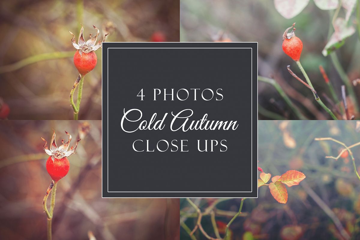 4 cold autumn photos example image 1
