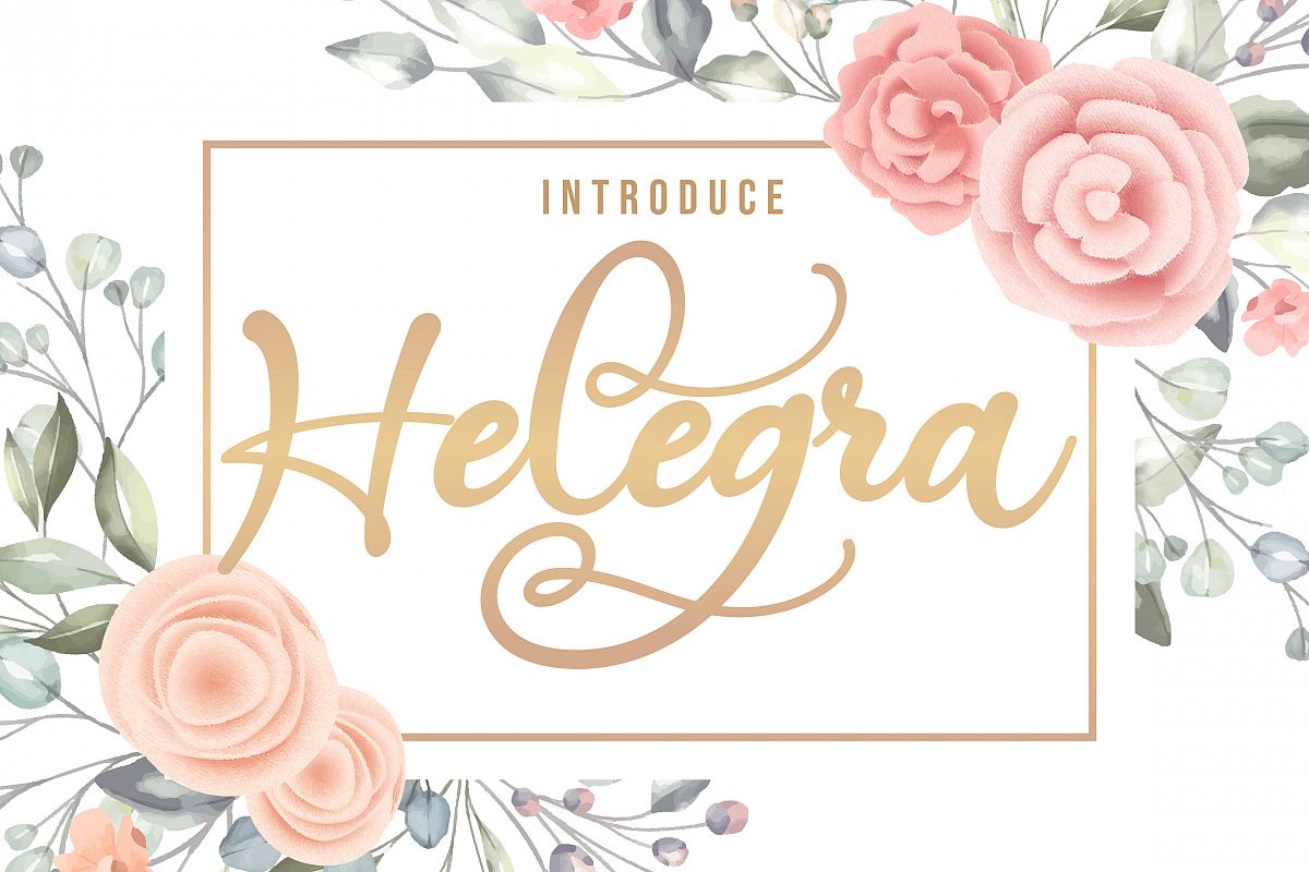 Helegra | Beauty Font Script example image 1