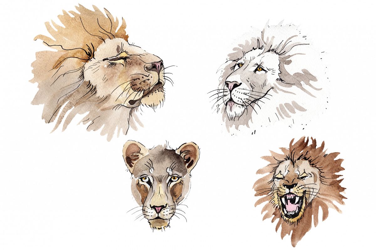 Animal Lion Watercolor png example image 1
