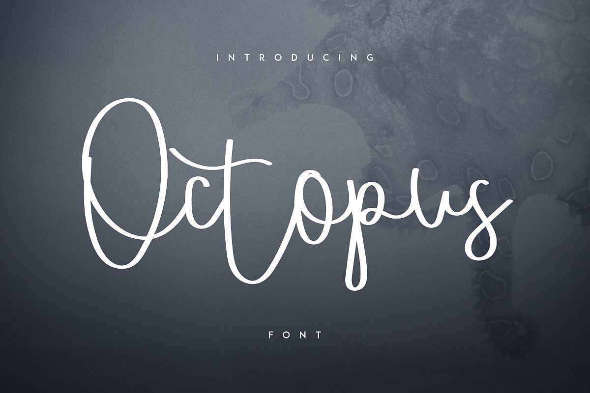 Octopus font example image 1