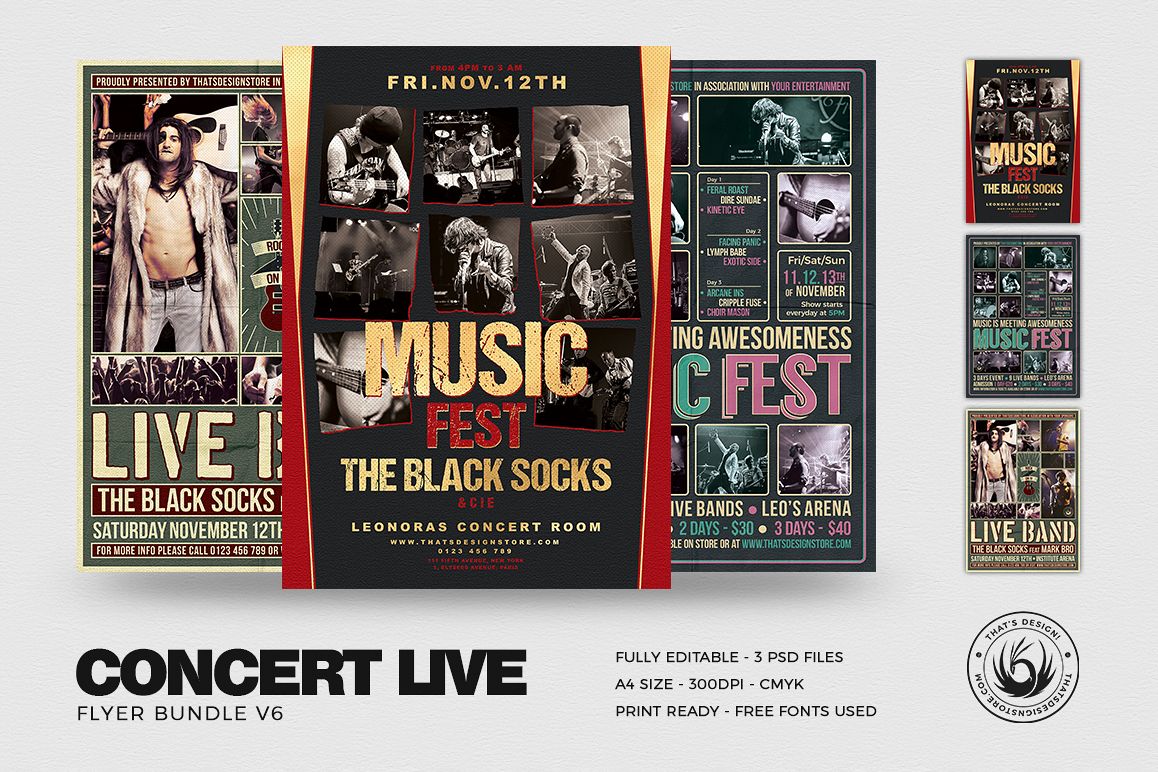 Concert Live Flyer Bundle V6 example image 1