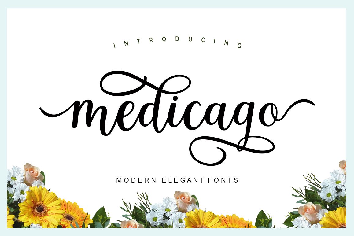 Medicago example image 1