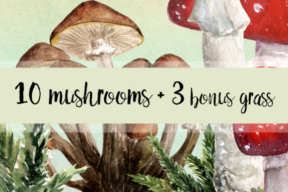10 Watercolor Mushroom Set + 3 Bonus example image 1