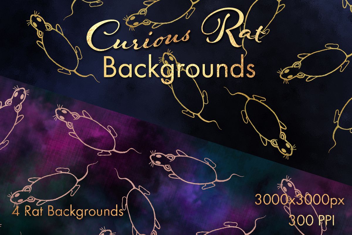 Curious Rat Backgrounds - 4 Image Set example image 1
