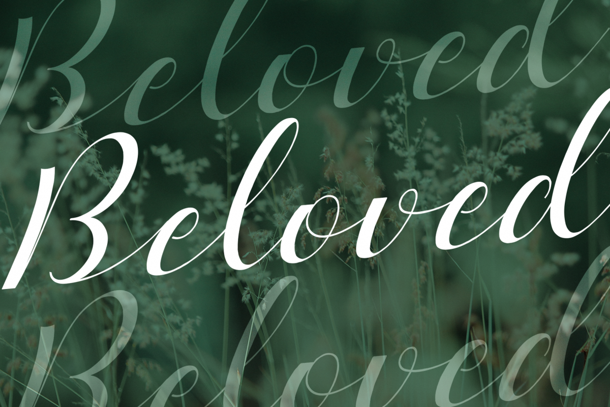 Beloved Typeface example image 1