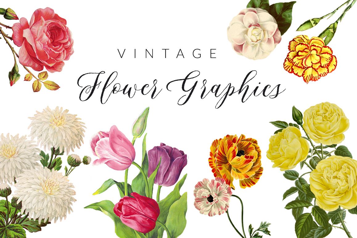 Vintage Flower Illustrations example image 1