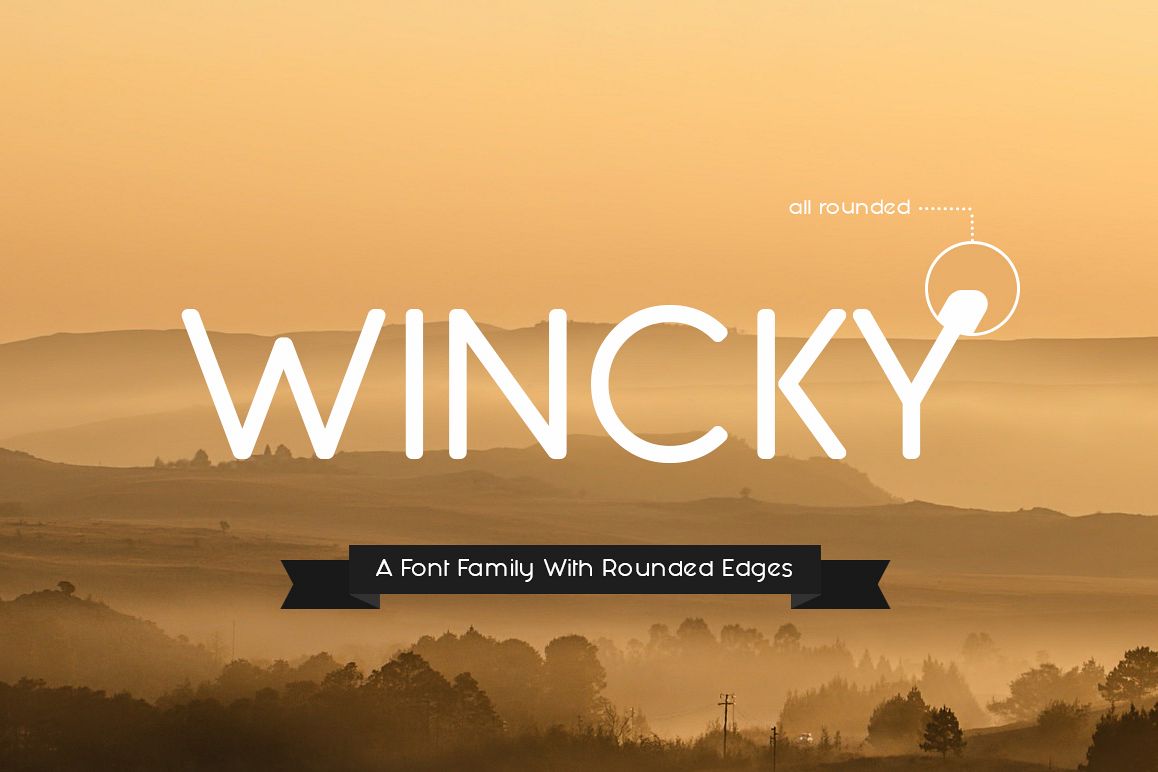 Wincky Font example image 1