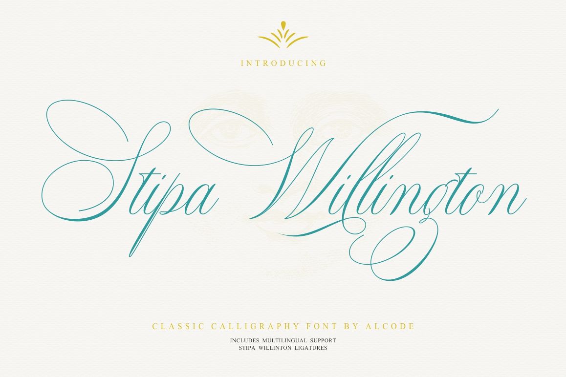 Stipa Willington example image 1