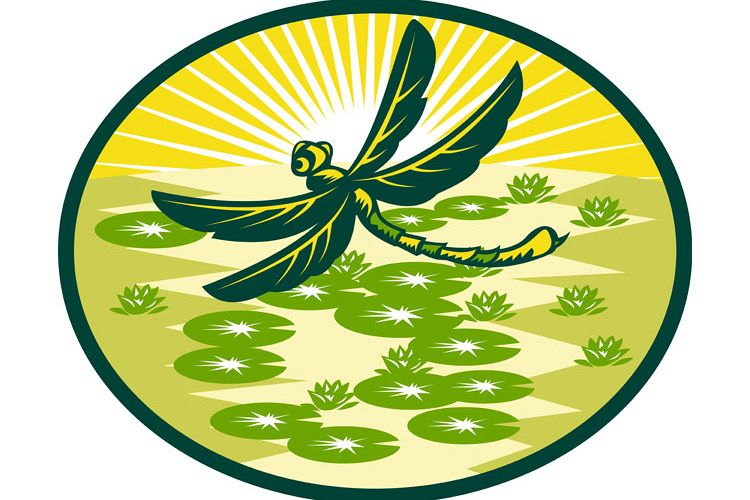 dragonfly flying with lily pads and sunburst example image 1