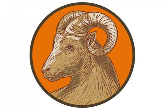 Ram Goat Head Circle Drawing example image 1